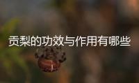 贡梨的功效与作用有哪些