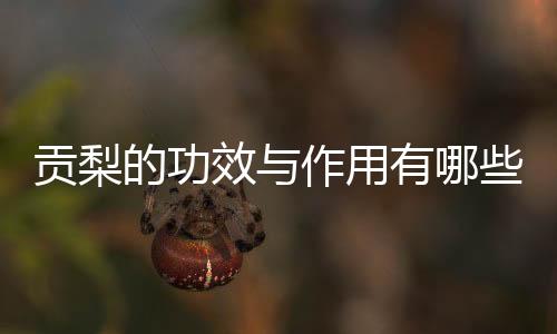 贡梨的功效与作用有哪些