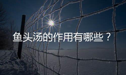 鱼头汤的作用有哪些?