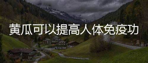 黄瓜可以提高人体免疫功能 细数黄瓜14大好处