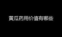 黄瓜药用价值有哪些