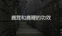 鹿茸和鹿鞭的功效