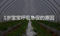 1岁宝宝呼吸急促的原因