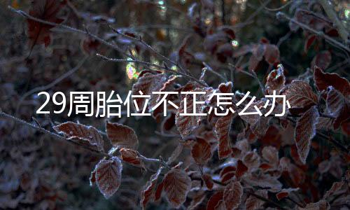29周胎位不正怎么办